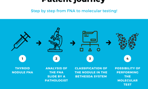 Patient Journey